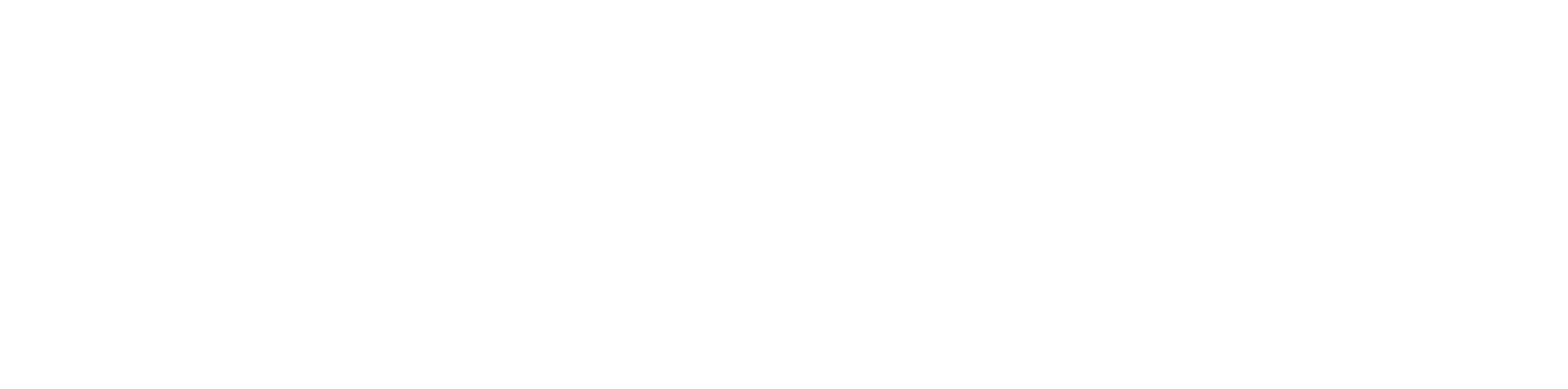 footer-logo